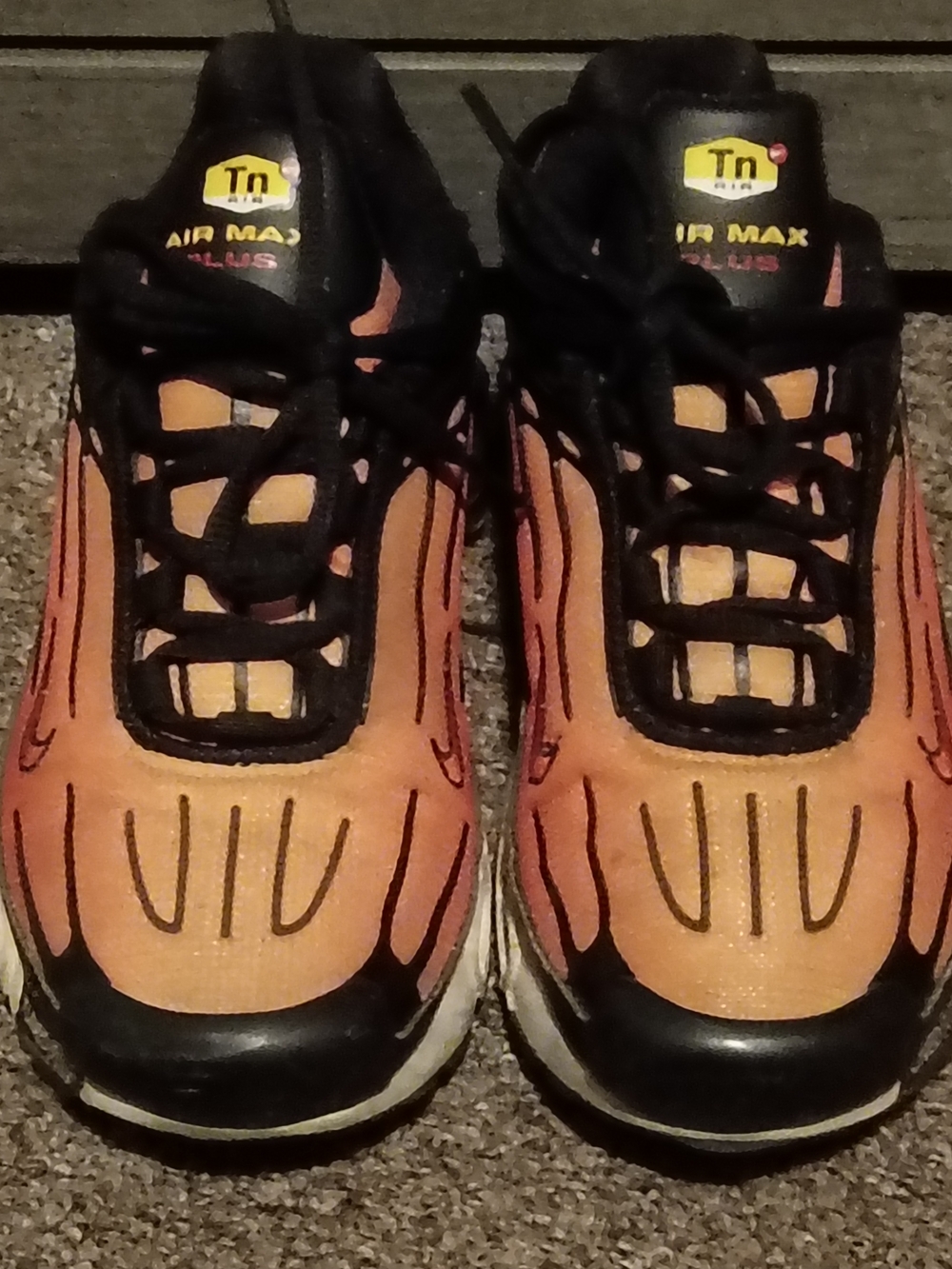 Nike Kids' Air Max Plus Tn Orange/Black Sneakers
